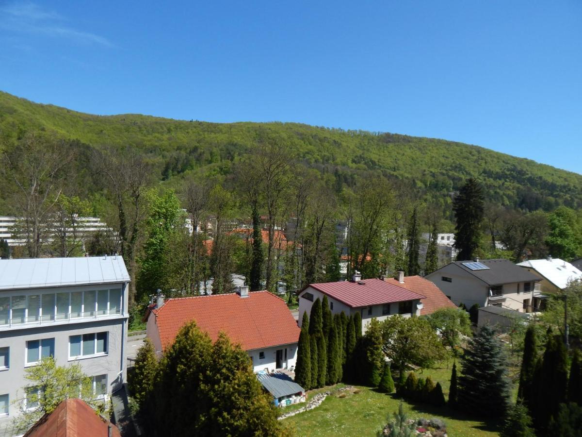 Apartmány Vila Juraj Trenčianské Teplice Exteriér fotografie