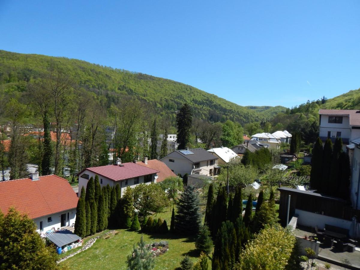 Apartmány Vila Juraj Trenčianské Teplice Exteriér fotografie